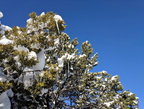 2018-12-30_03-53-34