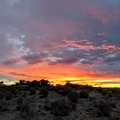 2018-10-24_12-19-50
