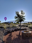 2018-10-06_08-30-53