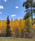 2018-09-30_08-28-55