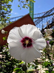 2018-08-26_02-29-28
