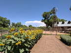 2017-07-22_02-50-07