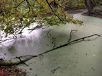2016-10-12_09-50-02