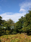 2016-10-11_02-51-33