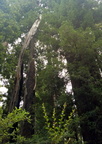 IMG_20140722_090232