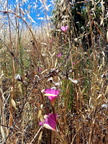 IMG_20140629_134543