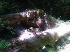 Lambert Creek bridge ruin