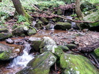 IMG_20140614_143244