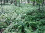 IMG_20140614_133722