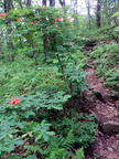 IMG_20140614_134020