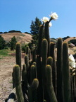 IMG_20140531_120514