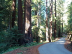 IMG_20121105_110222