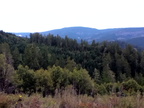 Redwood Creek overlook