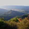 IMG_20111031_081657.jpg