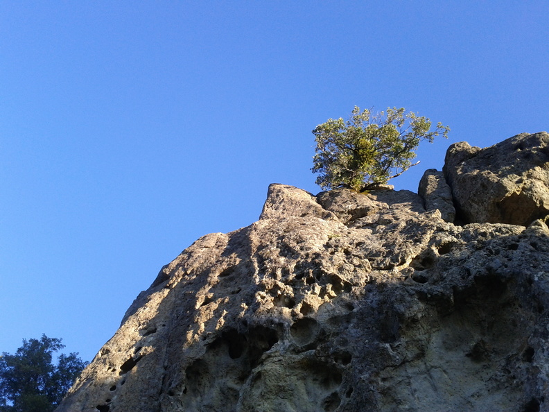 flickr-6300886764.jpg