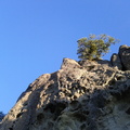 IMG_20111031_081551.jpg