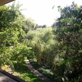 view from new office