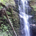 IMG_20110724_164843.jpg