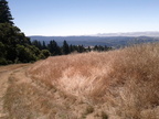 IMG_20110723_115522