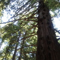 IMG_20110723_123756.jpg