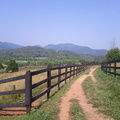IMG_20110611_094739