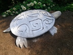 IMG_20110611_100641
