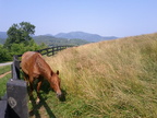 IMG_20110611_095519