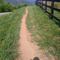 IMG_20110611_094558