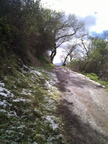 Black mtn