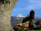 CIMG1257
