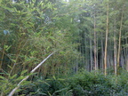 23/11/2008