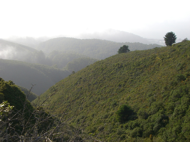 flickr-2644618853.jpg