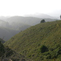 CIMG1110