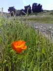 26042008141