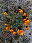 26042008142
