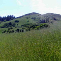 26042008143