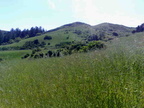26042008143