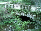 CIMG0998