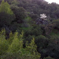 CIMG0901