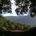 CIMG0890