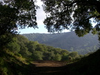 CIMG0890