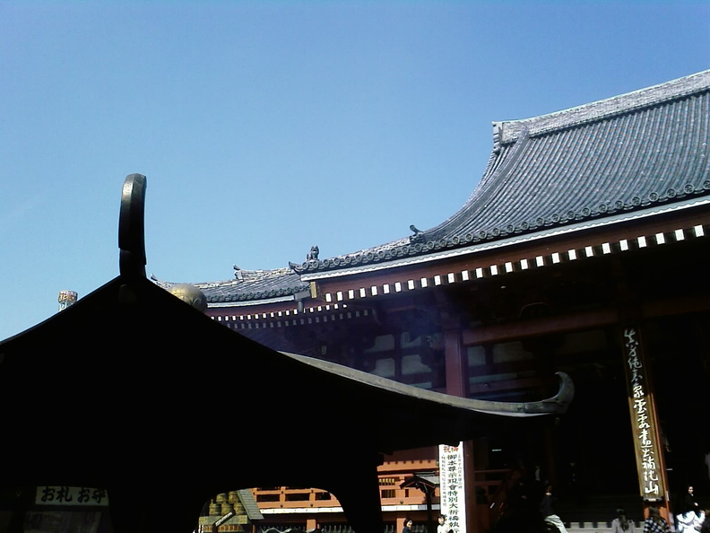 flickr-2286410275.jpg