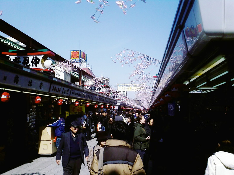 flickr-2287194106.jpg