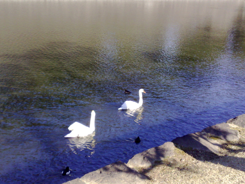 flickr-2287185344.jpg