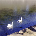20022008110