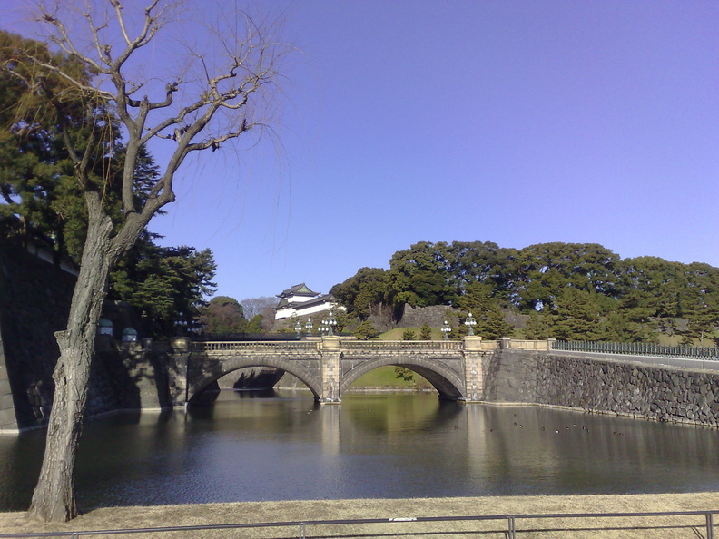 flickr-2287184294.jpg