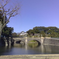 20022008105