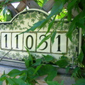 CIMG0531