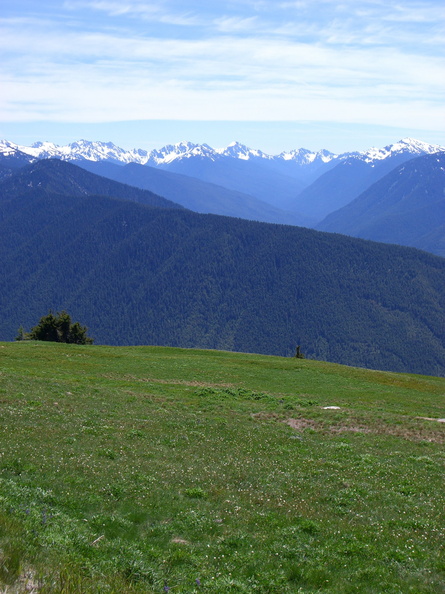 flickr-783211116.jpg