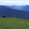 CIMG0474